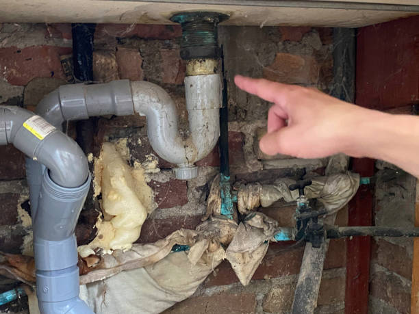 Best Carpet water damage restoration  in South Brooksville, FL