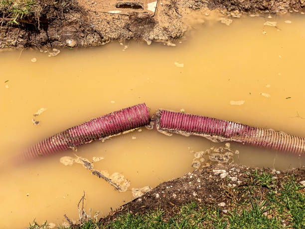 Best Flood damage cleanup  in South Brooksville, FL