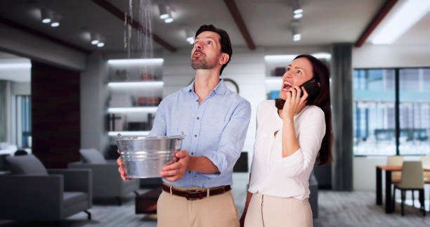 Reliable South Brooksville, FL Water damage restoration Solutions