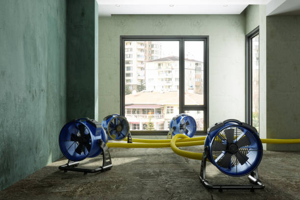 Best Residential water damage restoration  in South Brooksville, FL